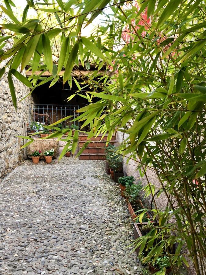 La Posada De Lola El Molar Exterior photo